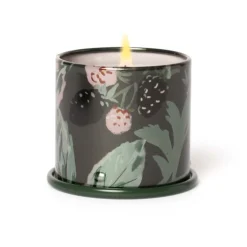 Blackberry Absinthe Demi Vanity Tin Candle