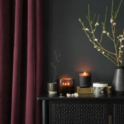 Blackberry Absinthe Matte Ceramic Candle