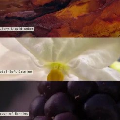 Blackberry Absinthe Medium Fragranced Pillar Candle