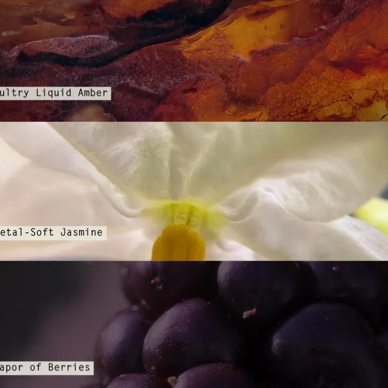 Blackberry Absinthe Refillable Boxed Glass Candle