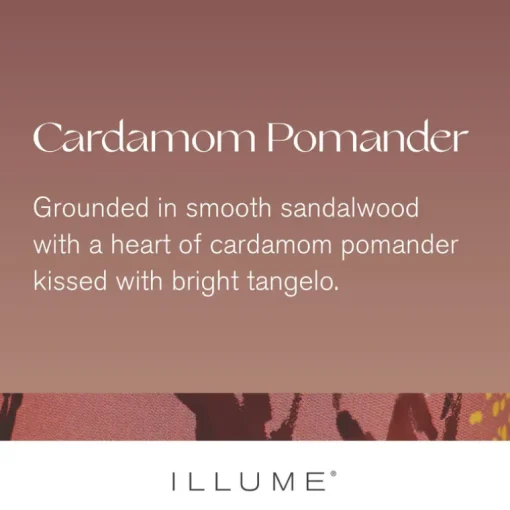 Cardamom Pomander Demi Vanity Tin Candle