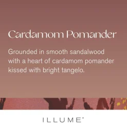Cardamom Pomander Large Boxed Crackle Glass Candle