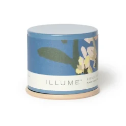 Citrus Crush Demi Vanity Tin Candle