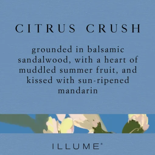 Citrus Crush Demi Vanity Tin Candle