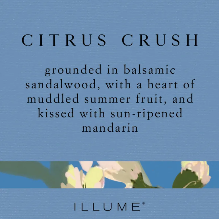 Citrus Crush Demi Vanity Tin Candle