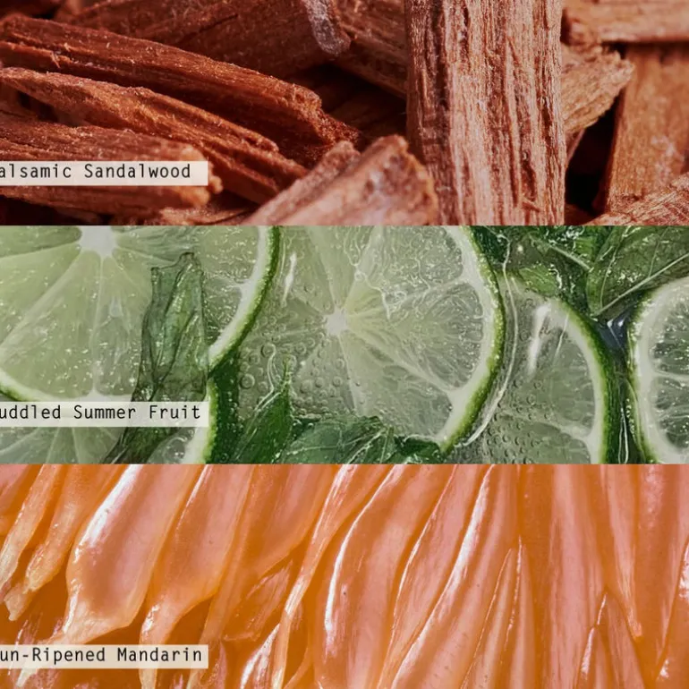 Citrus Crush Petite Perfume Spray