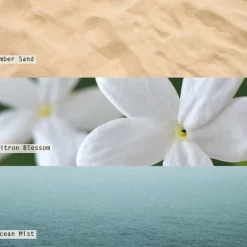 Driftwood Refillable Boxed Glass Candle