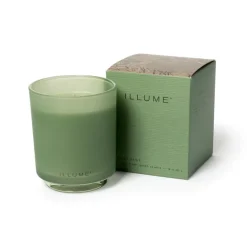 Hinoki Sage Boxed Glass Candle