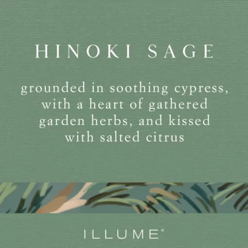 Hinoki Sage Boxed Glass Candle Refill