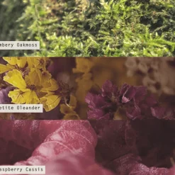 Oleander Oak Petite Perfume Spray