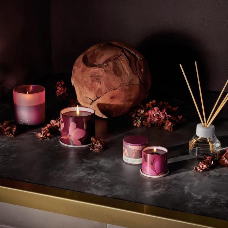 Oleander Oak Vanity Tin Candle