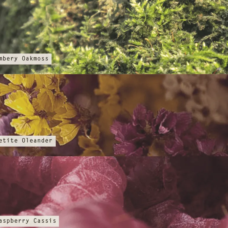 Oleander Oak Vanity Tin Candle