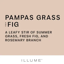 Pampas Grass and Fig Ceramic Candle