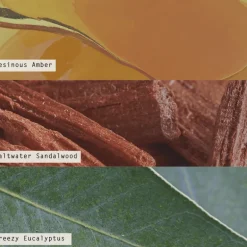 Santal Birch Petite Perfume Spray