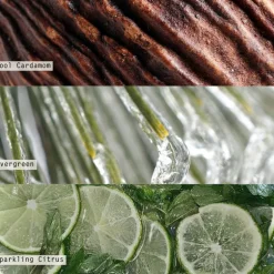 Winter White Small Aromatic Diffuser